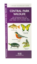 Central Park Wildlife - A Pocket Naturalist Guide