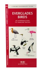 Everglades Birds - A Pocket Naturalist Guide