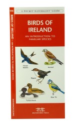Birds of Ireland - A Pocket Naturalist Guide