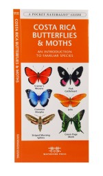 Costa Rica Butterflies & Moths - A Pocket Naturalist Guide