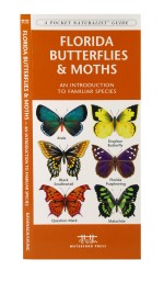 Florida Butterflies & Moths - A Pocket Naturalist Guide