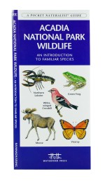 Acadia National Park Wildlife - A Pocket Naturalist Guide
