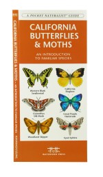 California Butterflies & Moths - A Pocket Naturalist Guide
