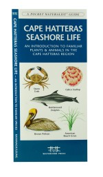 Cape Hatteras Seashore Life - A Pocket Naturalist Guide