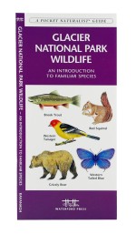 Glacier National Park Wildlife - A Pocket Naturalist Guide
