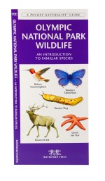 Olympic National Park Wildlife - A Pocket Naturalist Guide