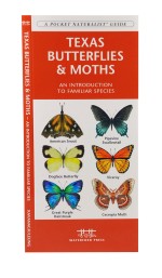Texas Butterflies & Moths - A Pocket Naturalist Guide