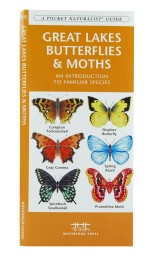 Great Lakes Butterflies & Moths - A Pocket Naturalist Guide