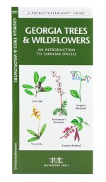 Georgia Trees & Wildflowers - A Pocket Naturalist Guide