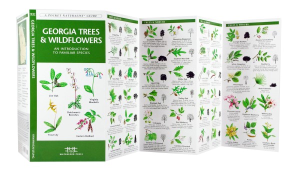 Georgia Trees &amp; Wildflowers - A Pocket Naturalist Guide