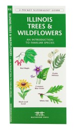 Illinois Trees & Wildflowers - A Pocket Naturalist Guide