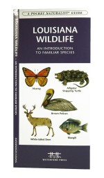 Louisiana Wildlife - A Pocket Naturalist Guide