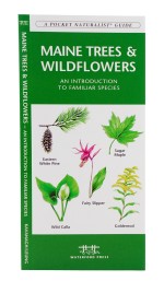 Maine Trees & Wildflowers - A Pocket Naturalist Guide