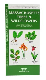 Massachusetts Trees & Wildflowers - A Pocket Naturalist Guide
