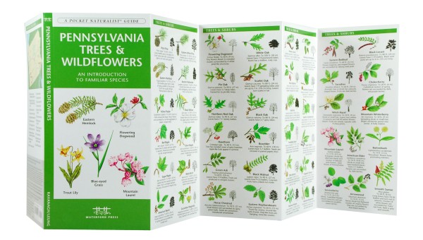 Pennsylvania Trees &amp; Wildflowers - A Pocket Naturalist Guide