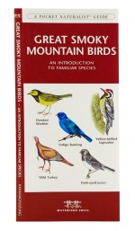 Great Smoky Mountain Birds - A Pocket Naturalist Guide