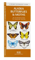 Alaska Butterflies & Moths - A Pocket Naturalist Guide