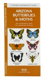 Arizona Butterflies & Moths - A Pocket Naturalist Guide