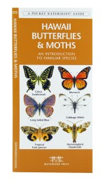 Hawaii Butterflies & Moths - A Pocket Naturalist Guide