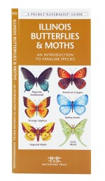 Illinois Butterflies & Moths - A Pocket Naturalist Guide