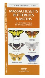 Massachusetts Butterflies &  Moths - A Pocket Naturalist Guide