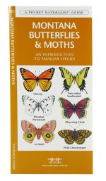Montana Butterflies & Moths - A Pocket Naturalist Guide