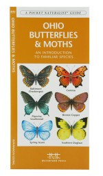 Ohio Butterflies & Moths - A Pocket Naturalist Guide