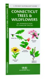 Connecticut Trees & Wildflowers - A Pocket Naturalist Guide