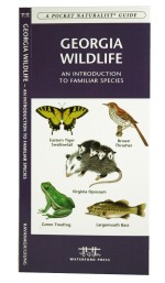 Georgia Wildlife - A Pocket Naturalist Guide