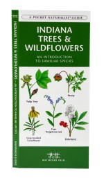 Indiana Trees & Wildflowers - A Pocket Naturalist Guide