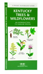 Kentucky Trees & Wildflowers - A Pocket Naturalist Guide