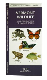 Vermont Wildlife - A Pocket Naturalist Guide