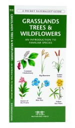 Grasslands Trees & Wildflowers - A Pocket Naturalist Guide