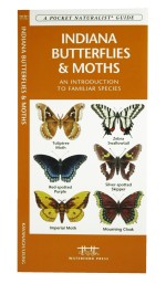 Indiana Butterflies & Moths - A Pocket Naturalist Guide