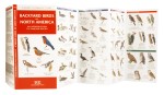 Backyard Birds of North America is the perfect pocket-sized, folding guide for the bird lover and nature enthusiast. This beautifully illustrated guide highlights over 140 familiar urban species and includes instructions on attracting and feeding backyard birds. 