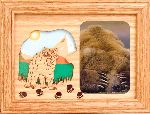 Bear Picture Frame