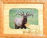 Bull Elk Picture Frame