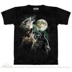 Kids Shirts