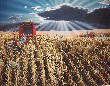 Autumn Harvest - Art Print