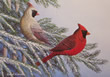 Cardinals - Art Print