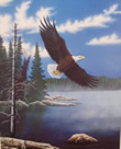 Dream, Focus, Soar - Art Print