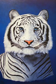 Eyes of Ice - Art Print