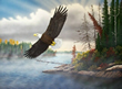 Let Freedom Soar - Art Print