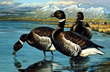 1995 AK Duck Stamp - Art Print
