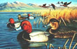 1998 CO Duck Stamp - Art Print