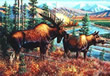 Alaskan Royalty - Art Print