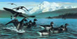 Black Brant on Padilla Bay - Art Print