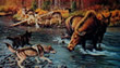 Lesson in Survival - Art Print