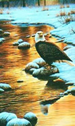 River Watch - Art Print
