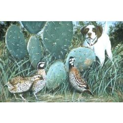 Cactus Covey - Quail & Dog Art Print by Les McDonald, Jr.